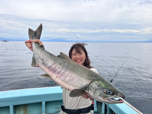 サケの釣果