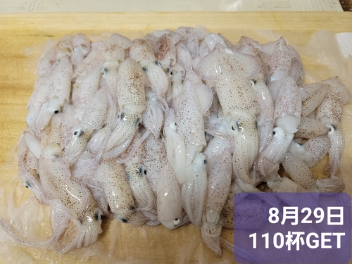 ベイカの釣果