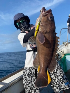 マハタの釣果