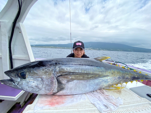 キハダマグロの釣果