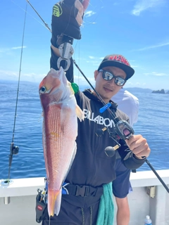 アマダイの釣果