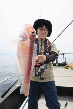 アマダイの釣果