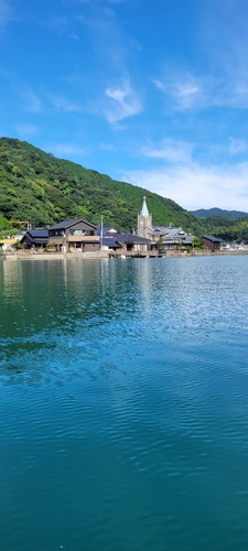 カンパチの釣果