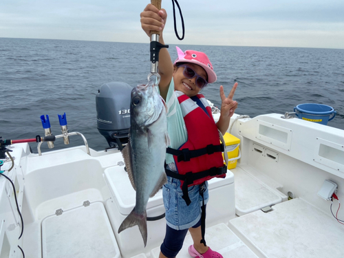 メダイの釣果