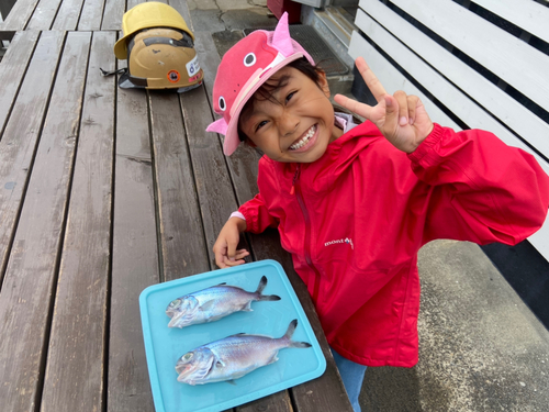 ギンメダイの釣果