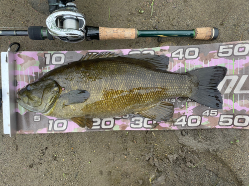 スモールマウスバスの釣果