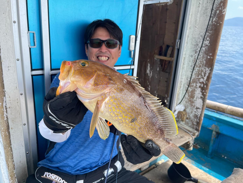 アオナの釣果