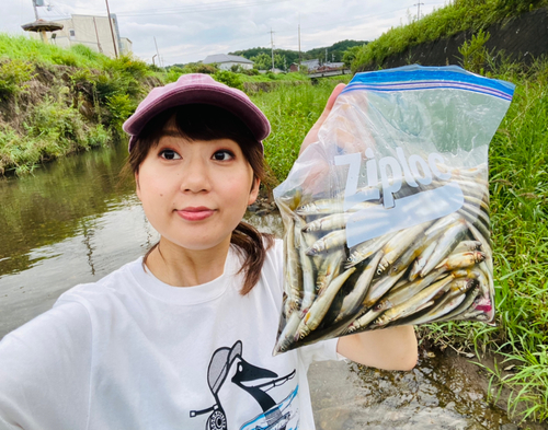 コアユの釣果