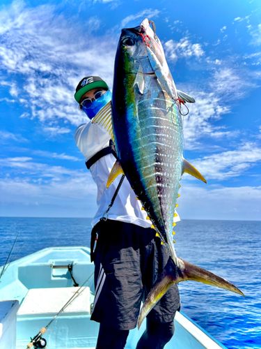 キハダマグロの釣果