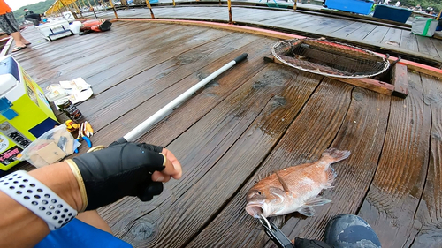 釣果