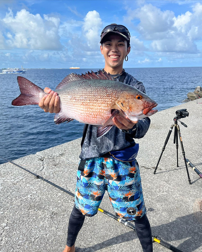 バラフエダイの釣果