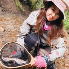 ヤマメの釣果