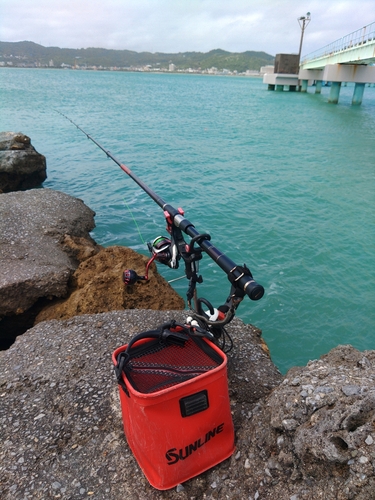 マクブの釣果