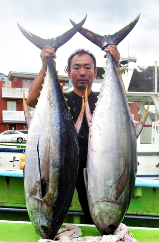 キハダマグロの釣果