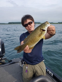 スモールマウスバスの釣果