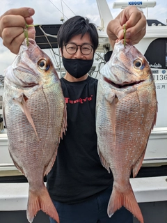 マダイの釣果