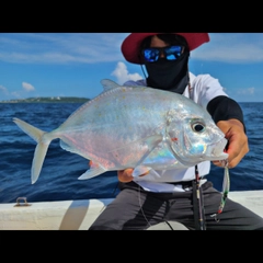 マルヒラアジの釣果