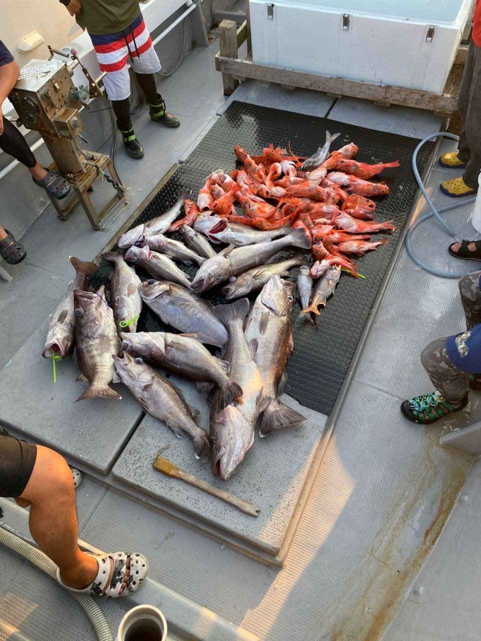 釣りにわか!さんの釣果 2枚目の画像