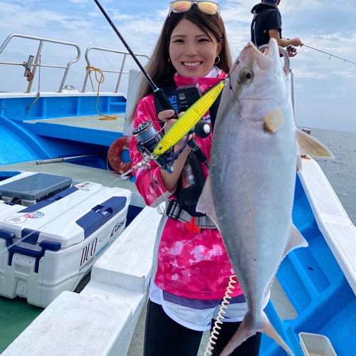 ショゴの釣果