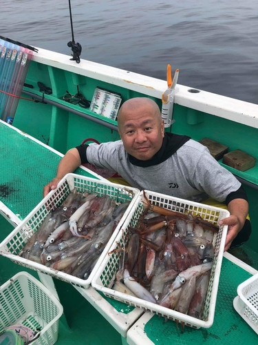 マルイカの釣果