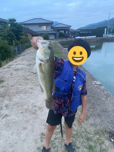 ブラックバスの釣果