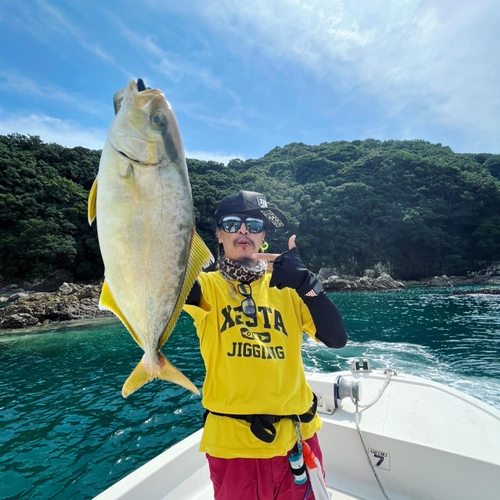 シオの釣果