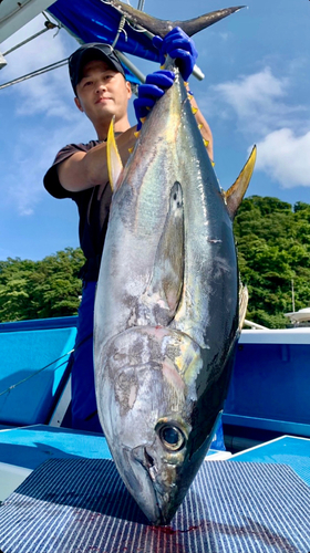 キハダマグロの釣果