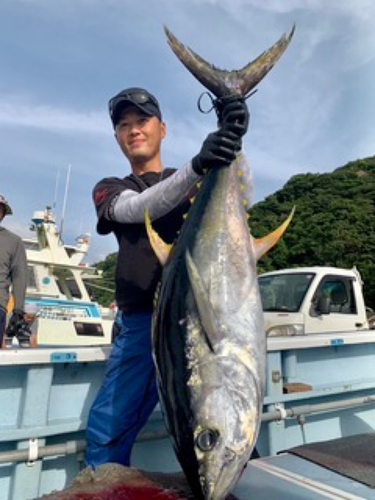 キハダマグロの釣果