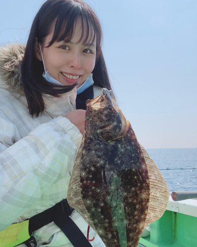 ヒラメの釣果