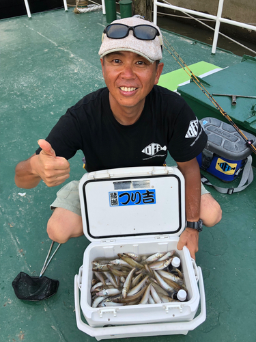 シロギスの釣果