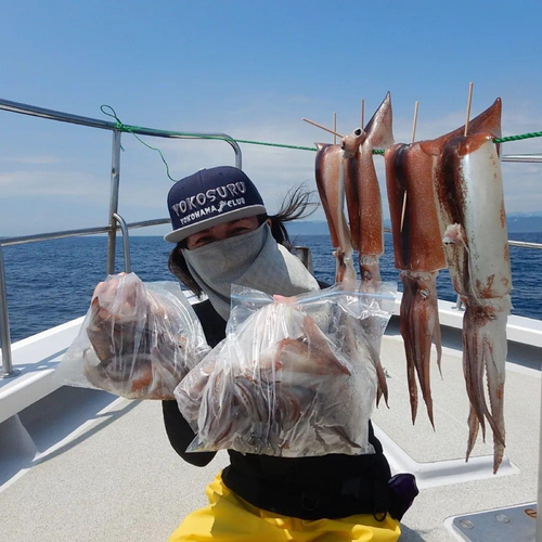 スルメイカの釣果