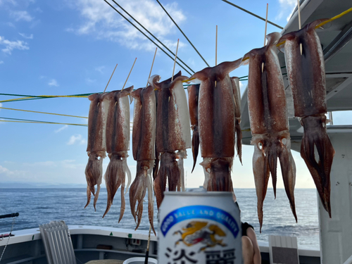 スルメイカの釣果