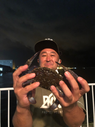 タケノコメバルの釣果