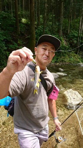 カワムツの釣果