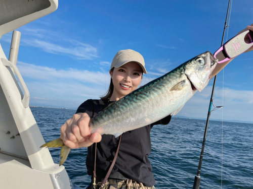 サバの釣果