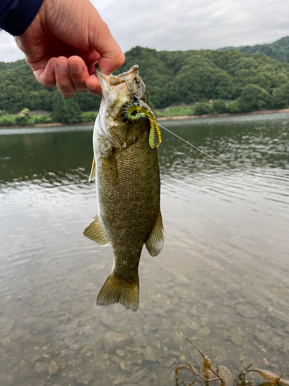 スモールマウスバス