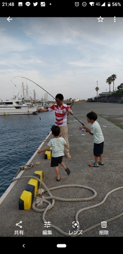 クサフグの釣果