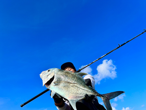 ロウニンアジの釣果