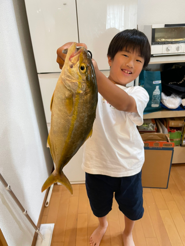 ネリゴの釣果