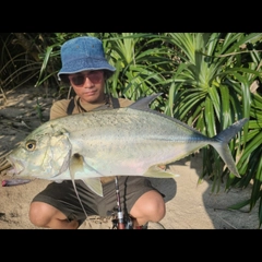 オニヒラアジの釣果