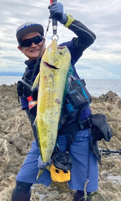 マヒマヒの釣果