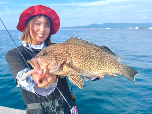 オオモンハタの釣果