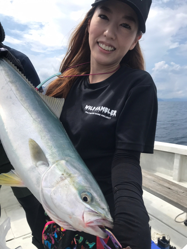 ハマチの釣果