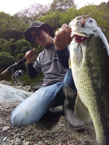 ブラックバスの釣果