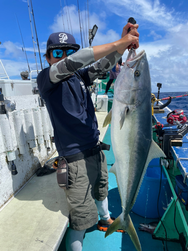 ヒラマサの釣果