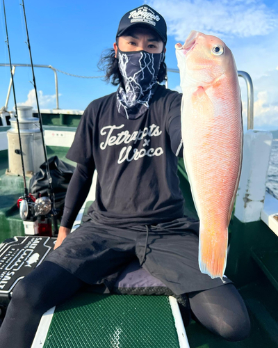 シロアマダイの釣果