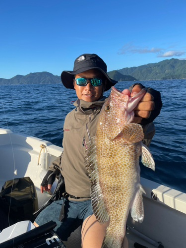 オオモンハタの釣果