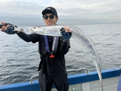 タチウオの釣果