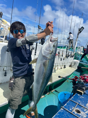 ヒラマサの釣果