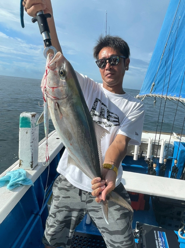 カンパチの釣果